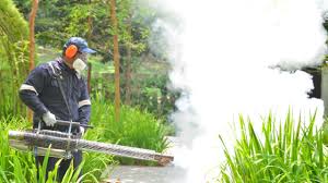 Best Commercial Pest Control  in Hidden Valley Lake, CA